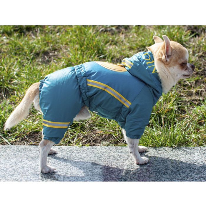 Комбінезон для собак хлопчиків на силіконі S2 мопс