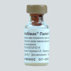 Нобівак Puppy-вакцина для цуценят, Intervet (без розчинника) Нобівак Puppy, Intervet