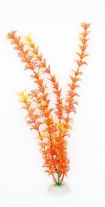 Рослина для акваріума 12in081D, 30 см 