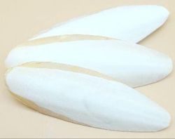 Набір сепія 13см 5шт 