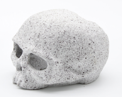 Череп 988 см (AS1501G) 