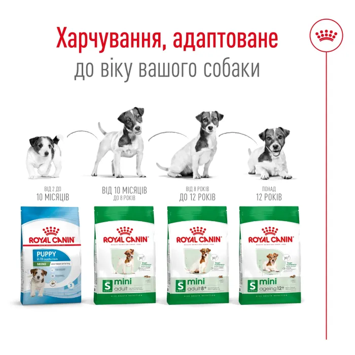Royal Canin WET MINI ADULT для собак дрібних порід 85 г