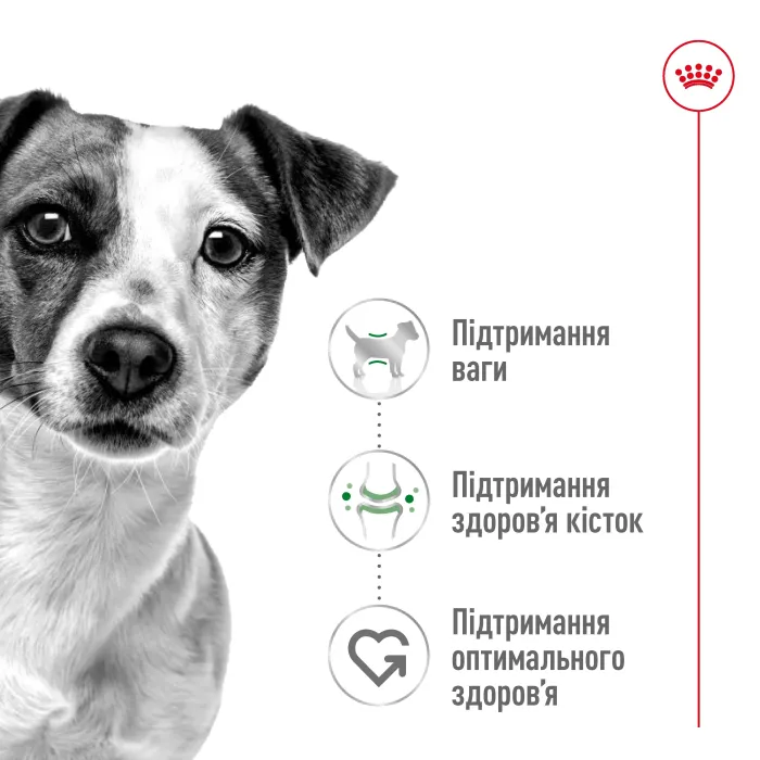 Royal Canin Mini Вік +12 (Роял Канін Міні) 1,5 кг