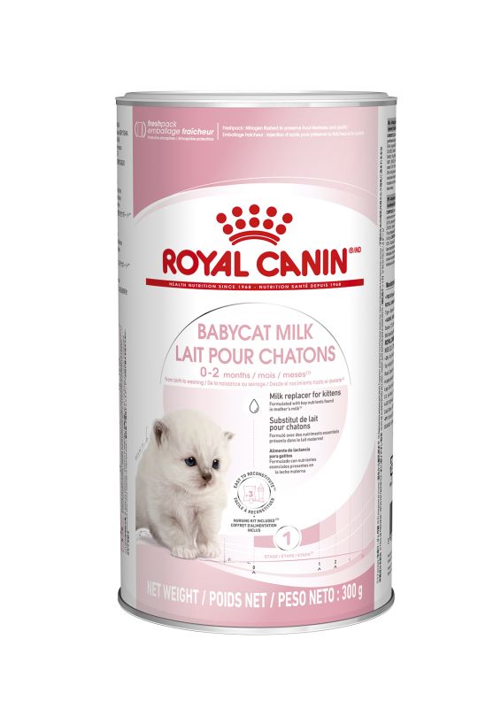 Royal Canin Baby cat milk-замінник молока для кошенят до 2 міс 300 гр 