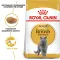 Royal Canin British Shorthair (Роял Канін) 34 для кішок породи Британська короткошерста старше 12 місяців Акція 1,6 кг + 400 г