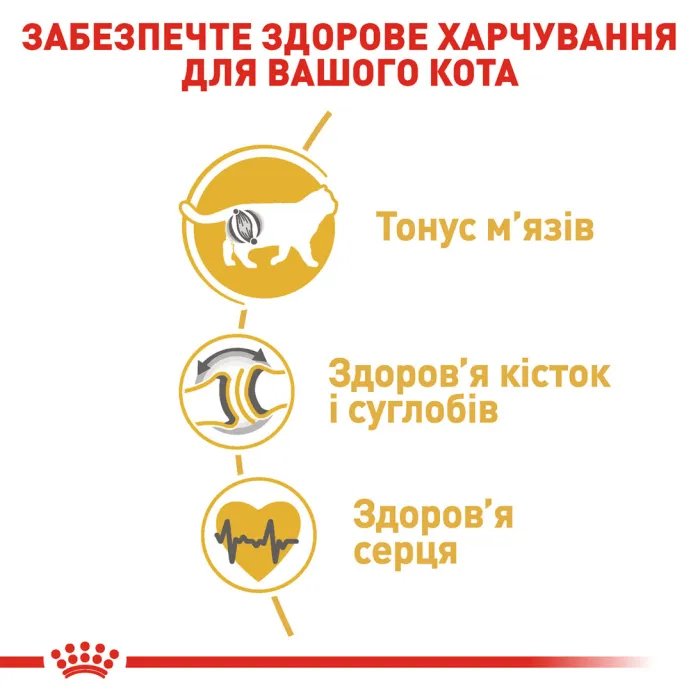 Royal Canin British Shorthair (Роял Канін) 34 для кішок породи Британська короткошерста старше 12 місяців 4 кг