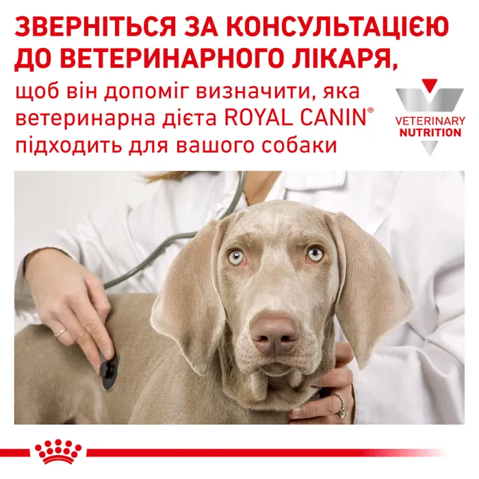 Royal Canin C Diabetic DOG сухий корм для собак 1,5 кг