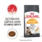 Royal Canin Hair  Skin 33 (Роял Канін Хеїр енд скін) для кішок з проблемною шерстю і чутливою шкірою 400 г