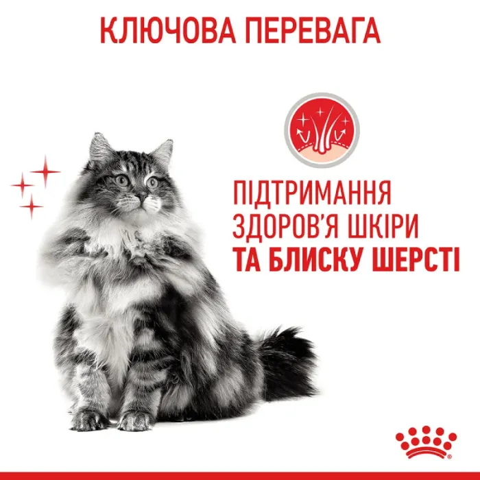 Royal Canin Hair  Skin 33 (Роял Канін Хеїр енд скін) для кішок з проблемною шерстю і чутливою шкірою 400 г