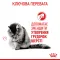 Royal Canin Intense Hairball (Роял Канін Хейрболл) 34 для кішок 10 кг