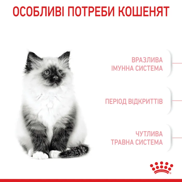Royal Canin Kitten 36 для кошенят (Роял Канін Кіттен) від 4 до 12 місяців 400 г