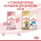 Royal Canin Kitten 36 для кошенят (Роял Канін Кіттен) від 4 до 12 місяців 400 г