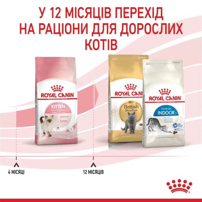 Royal Canin Kitten 36 для кошенят (Роял Канін Кіттен) від 4 до 12 місяців 10 кг