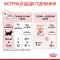 Royal Canin Kitten 36 для кошенят (Роял Канін Кіттен) від 4 до 12 місяців 10 кг