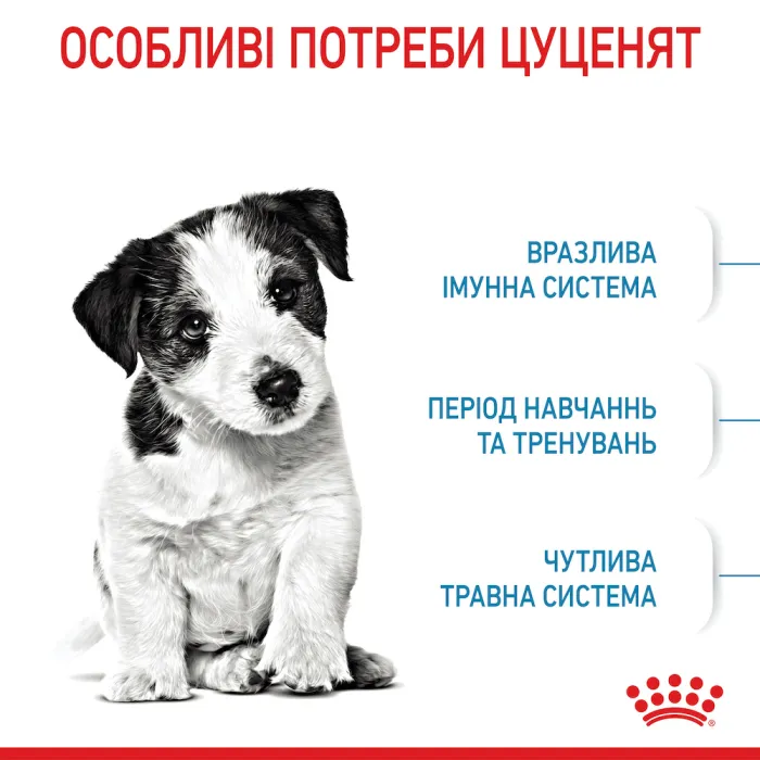Royal Canin (Роял Канін) Mini Puppy цуценята від 2 до 10 місяців 800 г