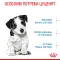 Royal Canin (Роял Канін) Mini Puppy цуценята від 2 до 10 місяців 4 кг
