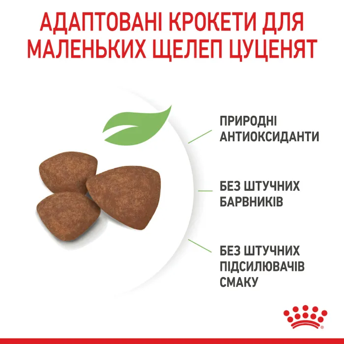 Royal Canin (Роял Канін) Mini Puppy цуценята від 2 до 10 місяців 2 кг