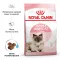 Royal Canin Mother and Babycat 34 (Роял Канін Мазер енд Бебікет) для кошенят від 1 до 4 місяців 2 кг