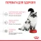 Royal Canin Mother and Babycat 34 (Роял Канін Мазер енд Бебікет) для кошенят від 1 до 4 місяців Акція 1,6 кг + 400 г