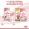 Royal Canin Mother and Babycat 34 (Роял Канін Мазер енд Бебікет) для кошенят від 1 до 4 місяців 2 кг