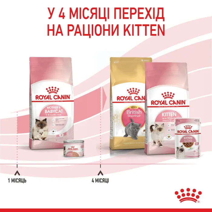 Royal Canin Mother and Babycat 34 (Роял Канін Мазер енд Бебікет) для кошенят від 1 до 4 місяців 2 кг