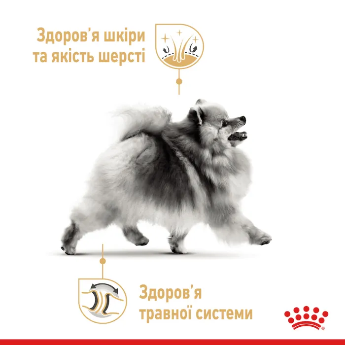 Royal Canin Pomeranian Adult Корм для собак породи Померанський шпіц 500г 