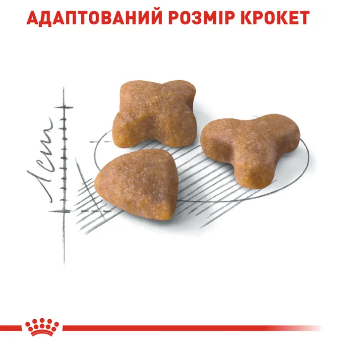 Royal Canin Sensible 33 (Роял Канін) для кішок з чутливою травною системою 400 г