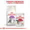 Royal Canin Sensible 33 (Роял Канін) для кішок з чутливою травною системою 400 г