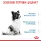 Royal Canin X Small PUPPY для цуценят дуже дрібних порід до 10 місяців 3кг 