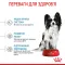 Royal Canin X Small PUPPY для цуценят дуже дрібних порід до 10 місяців 1,5 кг