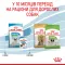 Royal Canin X Small PUPPY для цуценят дуже дрібних порід до 10 місяців 3кг 