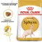 Royal Canin Sphynx adult 33 (Роял Канін) сухий корм для сфінксів з 1 року 10 кг