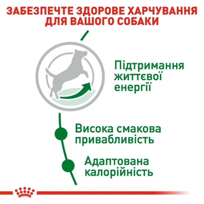 Royal Canin Mini Вік +12 (Роял Канін Міні) 1,5 кг