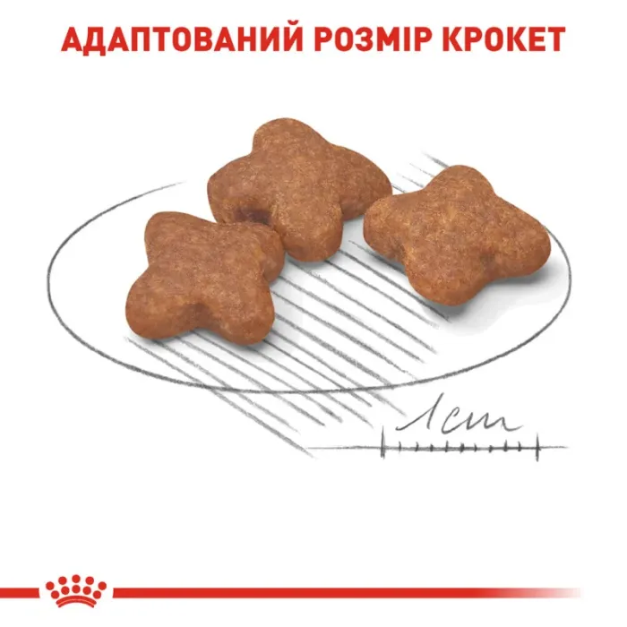 Royal Canin Mini Вік +12 (Роял Канін Міні) 1,5 кг